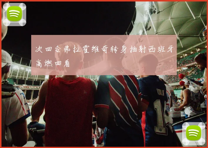 次回合弗拉霍维奇转身抽射西班牙高燃回看