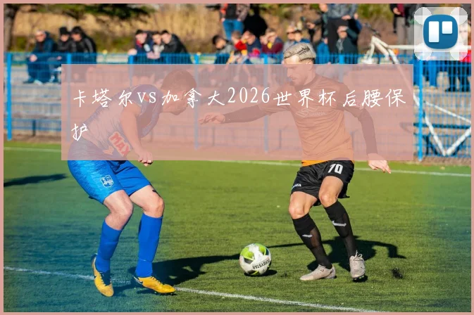 卡塔尔vs加拿大2026世界杯后腰保护