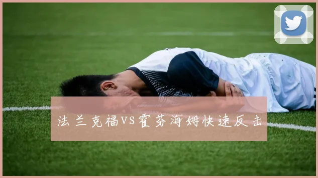 法兰克福vs霍芬海姆快速反击