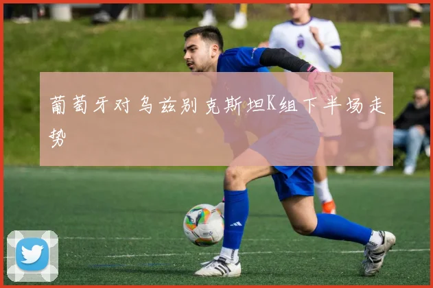 葡萄牙对乌兹别克斯坦K组下半场走势