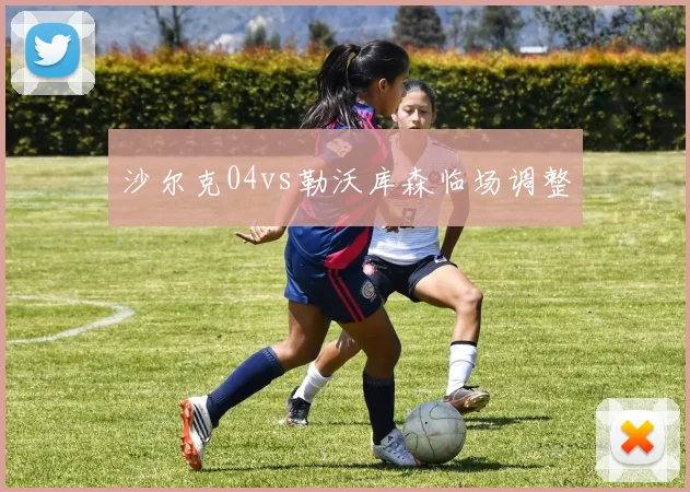 沙尔克04vs勒沃库森临场调整