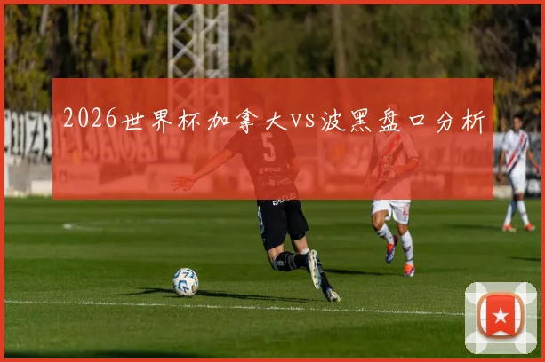 2026世界杯加拿大vs波黑盘口分析