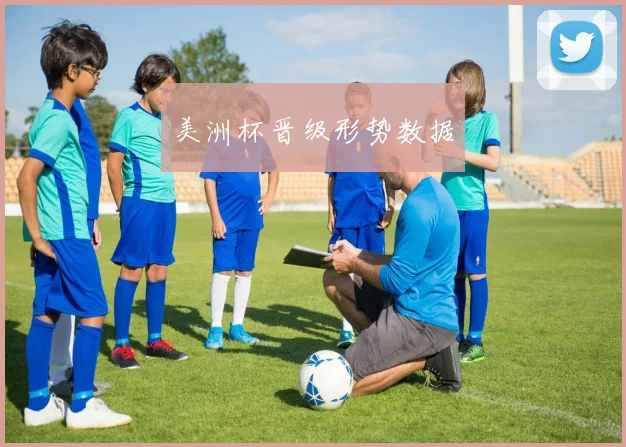 美洲杯晋级形势数据