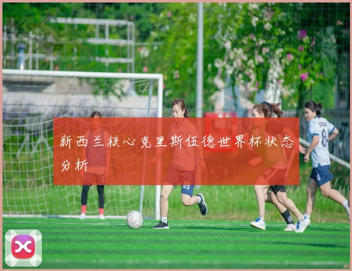 新西兰核心克里斯伍德世界杯状态分析