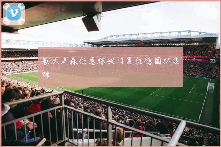 勒沃库森任意球破门复仇德国杯集锦