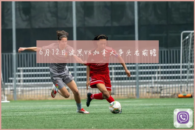 6月12日波黑vs加拿大争头名前瞻