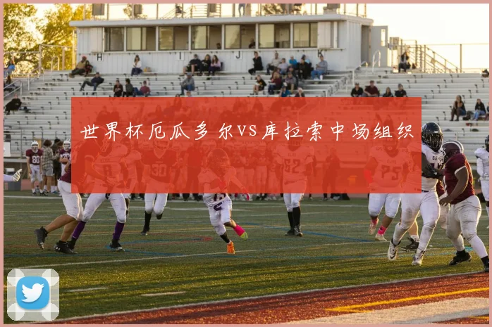 世界杯厄瓜多尔vs库拉索中场组织
